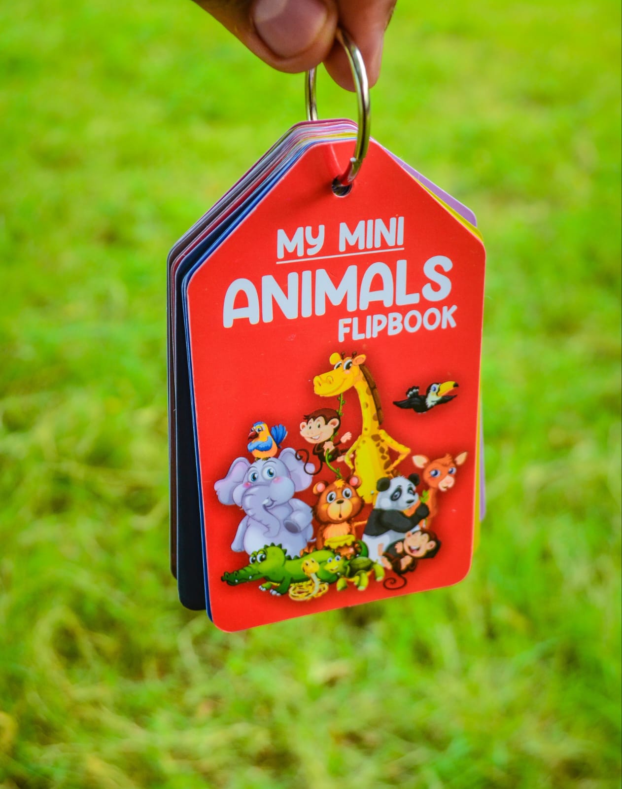 My Mini Animal Learning Flipbook 27 pcs - Default Title - Odeez | Educational Toys Pakistan