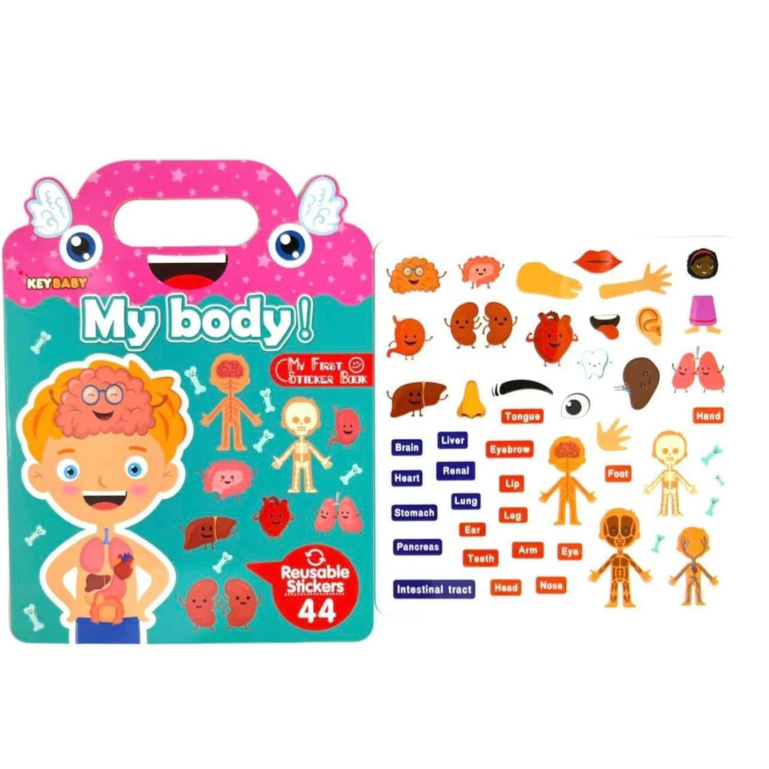 My Body Learning Reusable Stickers - 44 Pieces - Default Title - Odeez | Educational Toys Pakistan