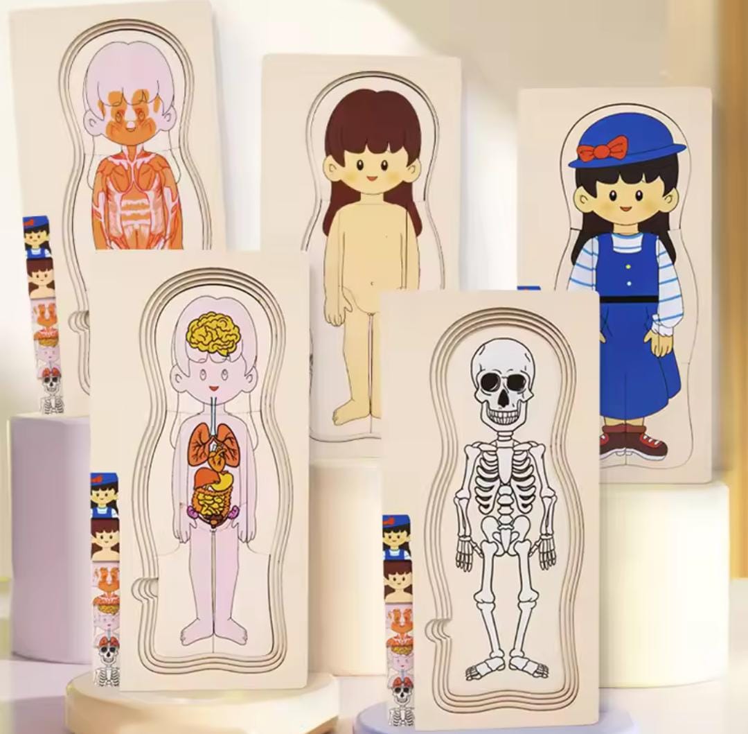 Five Stages Wooden Human Body Jigsaw Puzzle Board - 946 - Default Title - Odeez | Educational Toys Pakistan