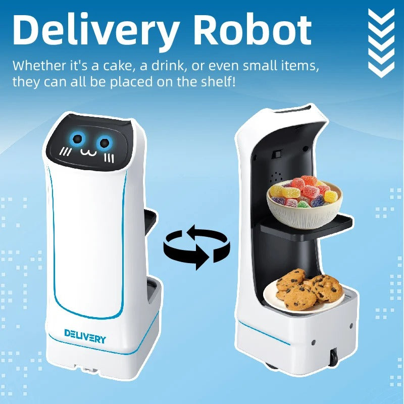 Remote Control Delivery Robot Toy - 745
