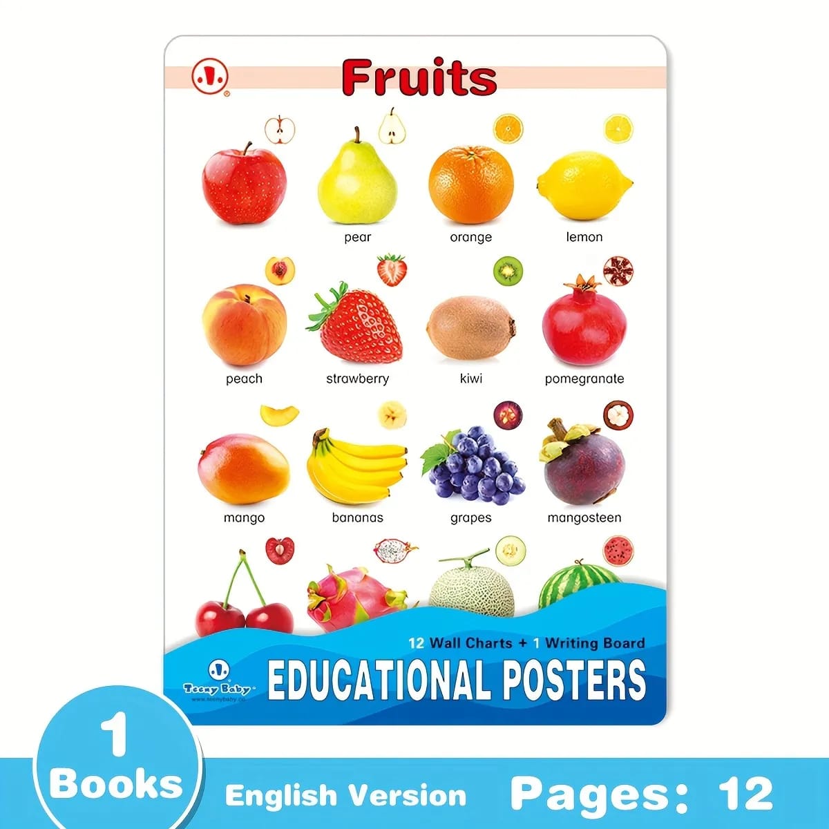 12in1 Object Recognition Education Posters with Erasable Board - Default Title - Odeez | Educational Toys Pakistan 