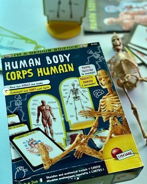I'm a Genius Human Body - LISCIANI - Default Title - Odeez | Educational Toys Pakistan 