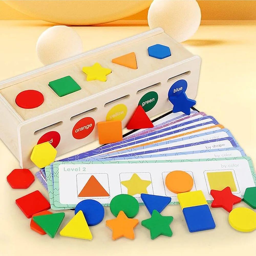 Color and Shape Wooden Montessori Early Childhood Sorting Box - 441