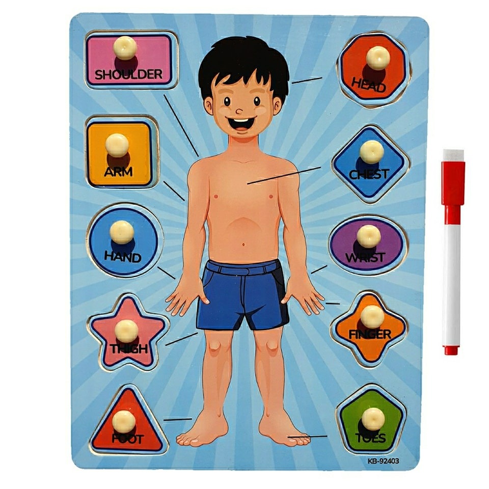 2in1 Human Body Knob Double Sided Board With Writing Activity - 402