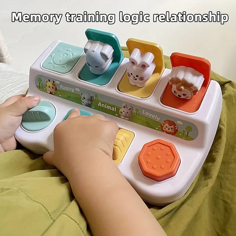 Pop-Up Cause and Effect Interactive Animals Sensory Set - 91A - Default Title - Odeez | Educational Toys Pakistan 