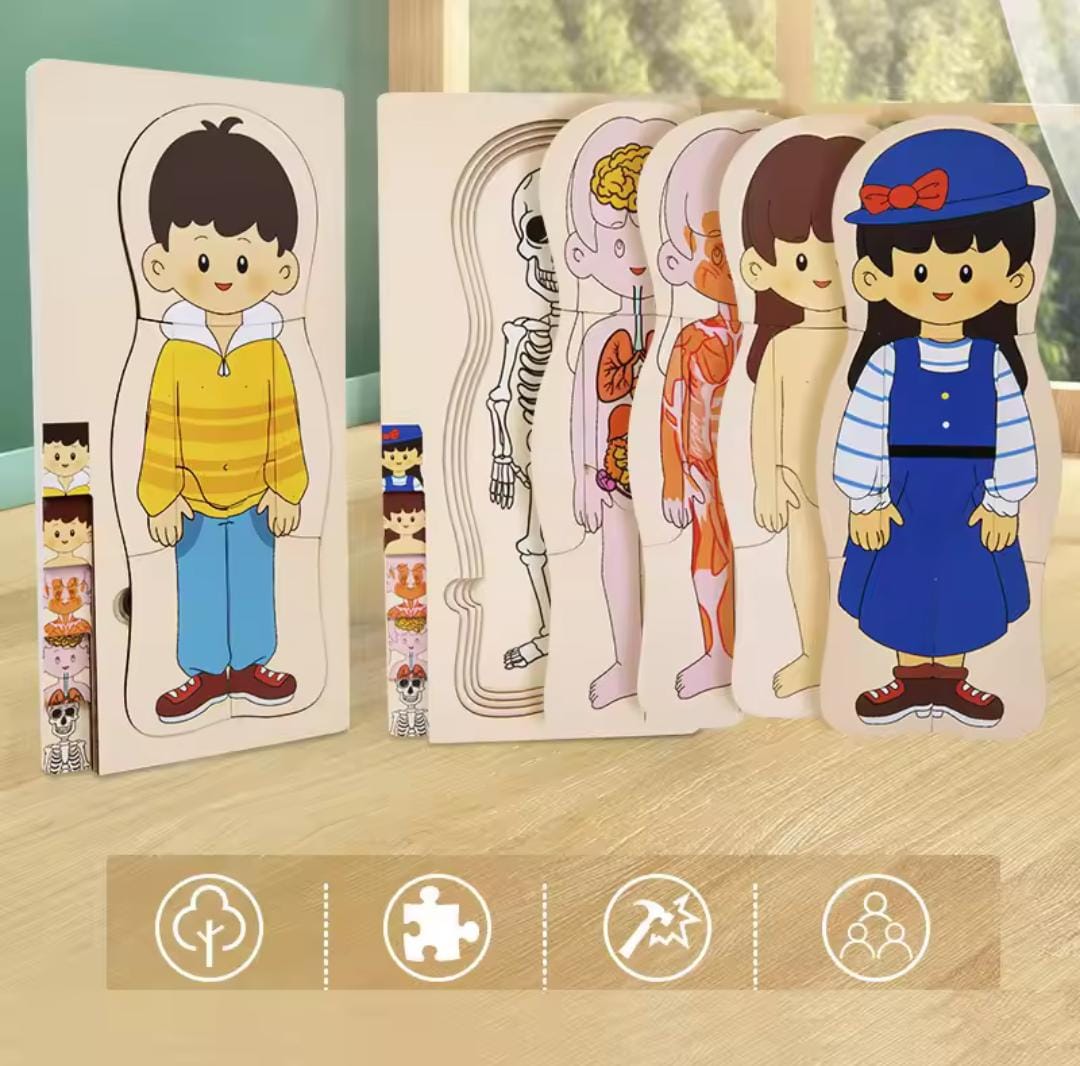 Five Stages Wooden Human Body Jigsaw Puzzle Board - 946 - Default Title - Odeez | Educational Toys Pakistan 