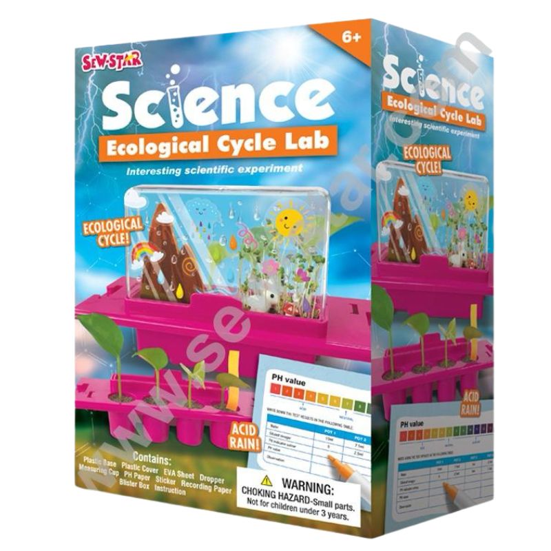 DIY Ecological Cycle Science Lab Experiment Kit - 005 - Default Title - Odeez | Educational Toys Pakistan 
