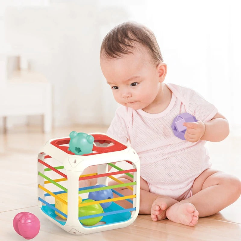 2 in 1 Shape Stacking and Sorting Box - 899 - Default Title - Odeez | Educational Toys Pakistan 