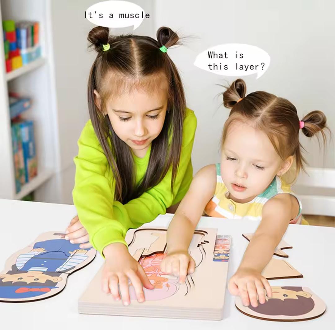 Five Stages Wooden Human Body Jigsaw Puzzle Board - 946 - Default Title - Odeez | Educational Toys Pakistan 
