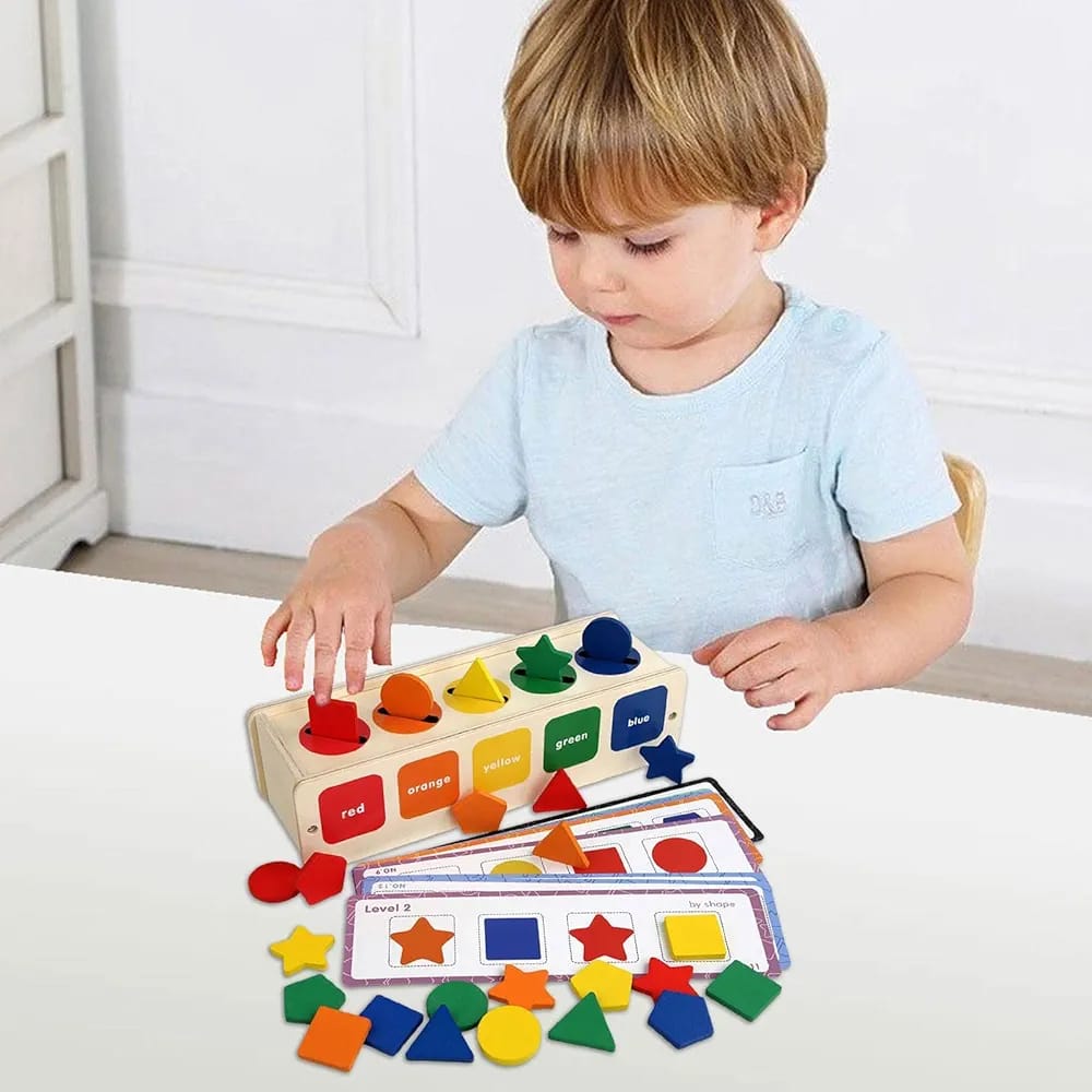 Color and Shape Wooden Montessori Early Childhood Sorting Box - 441