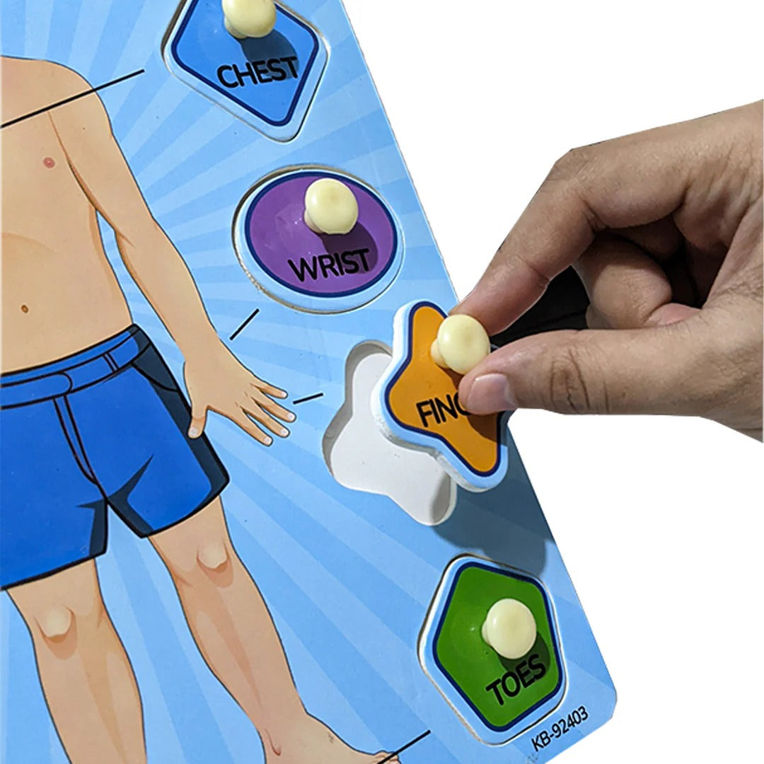 2in1 Human Body Knob Double Sided Board With Writing Activity - 402