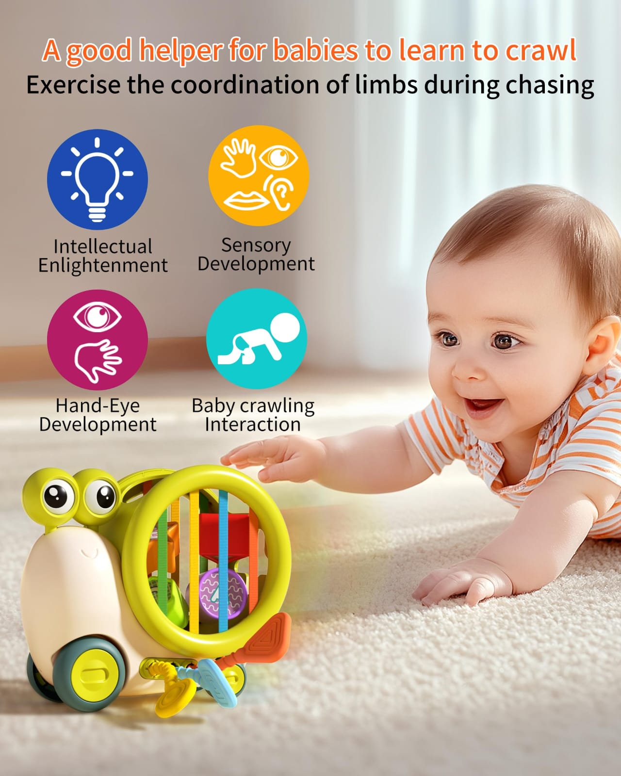 Snail Early Education Sensory Shape Sorting - 501 - Default Title - Odeez | Educational Toys Pakistan 