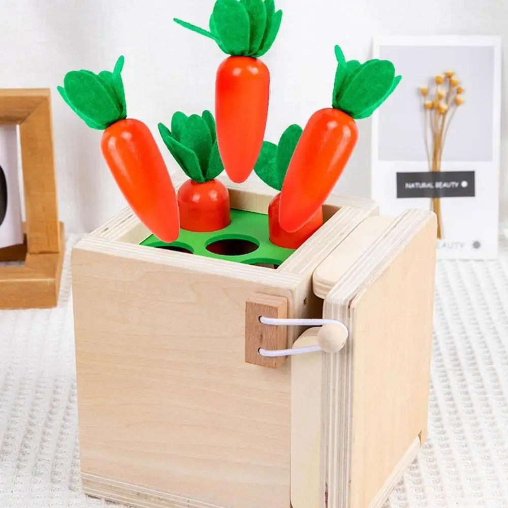 6in1 Montessori Early Education Intelligence Multi-functional Box - Default Title - Odeez | Educational Toys Pakistan 