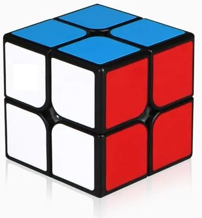 QIYI Rubik Cube 2×2 Speed Cube Sticker Magic Cube 2x2 3D Puzzle Toy