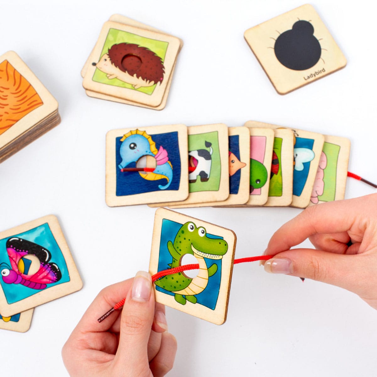 Matching Find the Shadow Animal Jigsaw Activity - 848 - Default Title - Odeez | Educational Toys Pakistan 