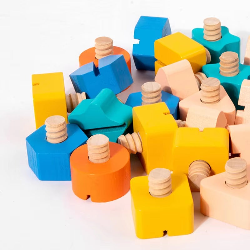 Shape Screw and Nut Combination Wooden Kit - 672