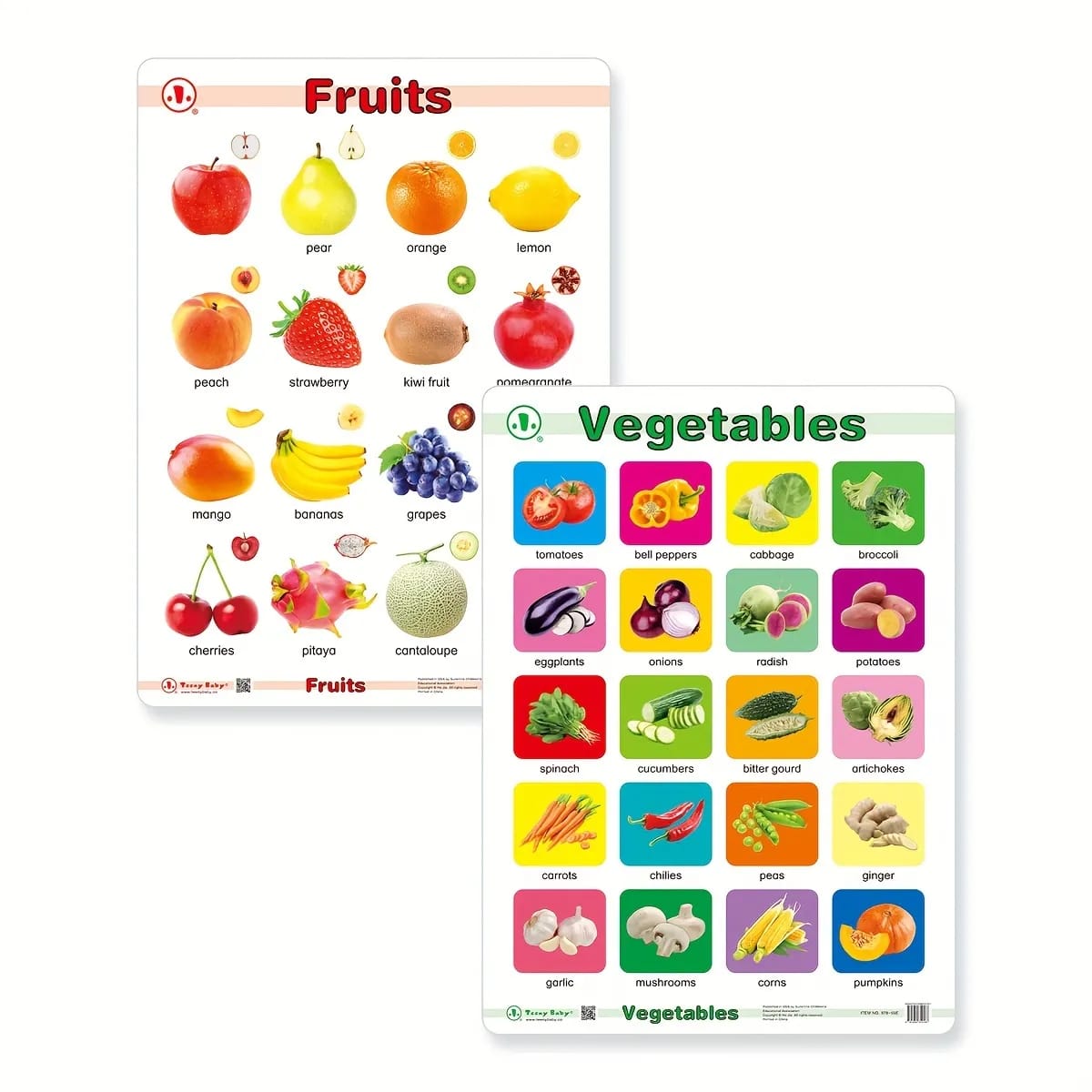 12in1 Object Recognition Education Posters with Erasable Board - Default Title - Odeez | Educational Toys Pakistan 