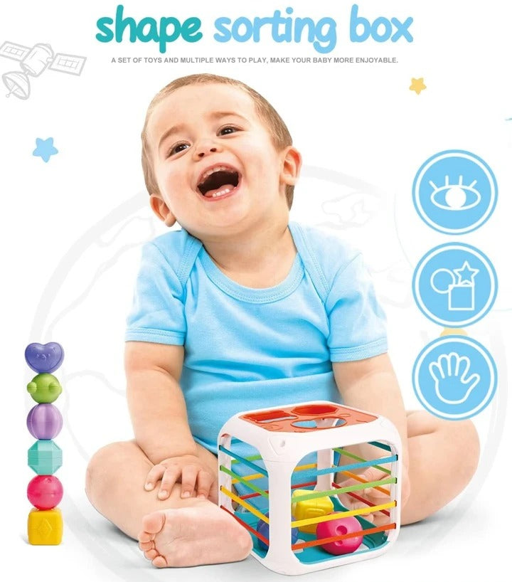2 in 1 Shape Stacking and Sorting Box - 899 - Default Title - Odeez | Educational Toys Pakistan 