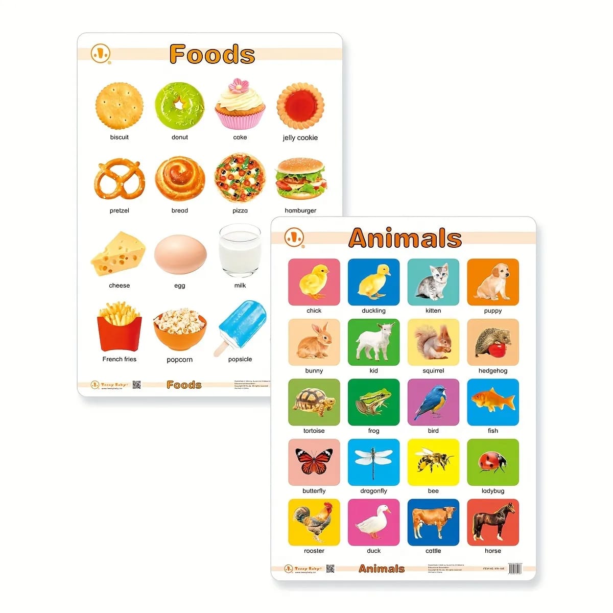 12in1 Object Recognition Education Posters with Erasable Board - Default Title - Odeez | Educational Toys Pakistan 