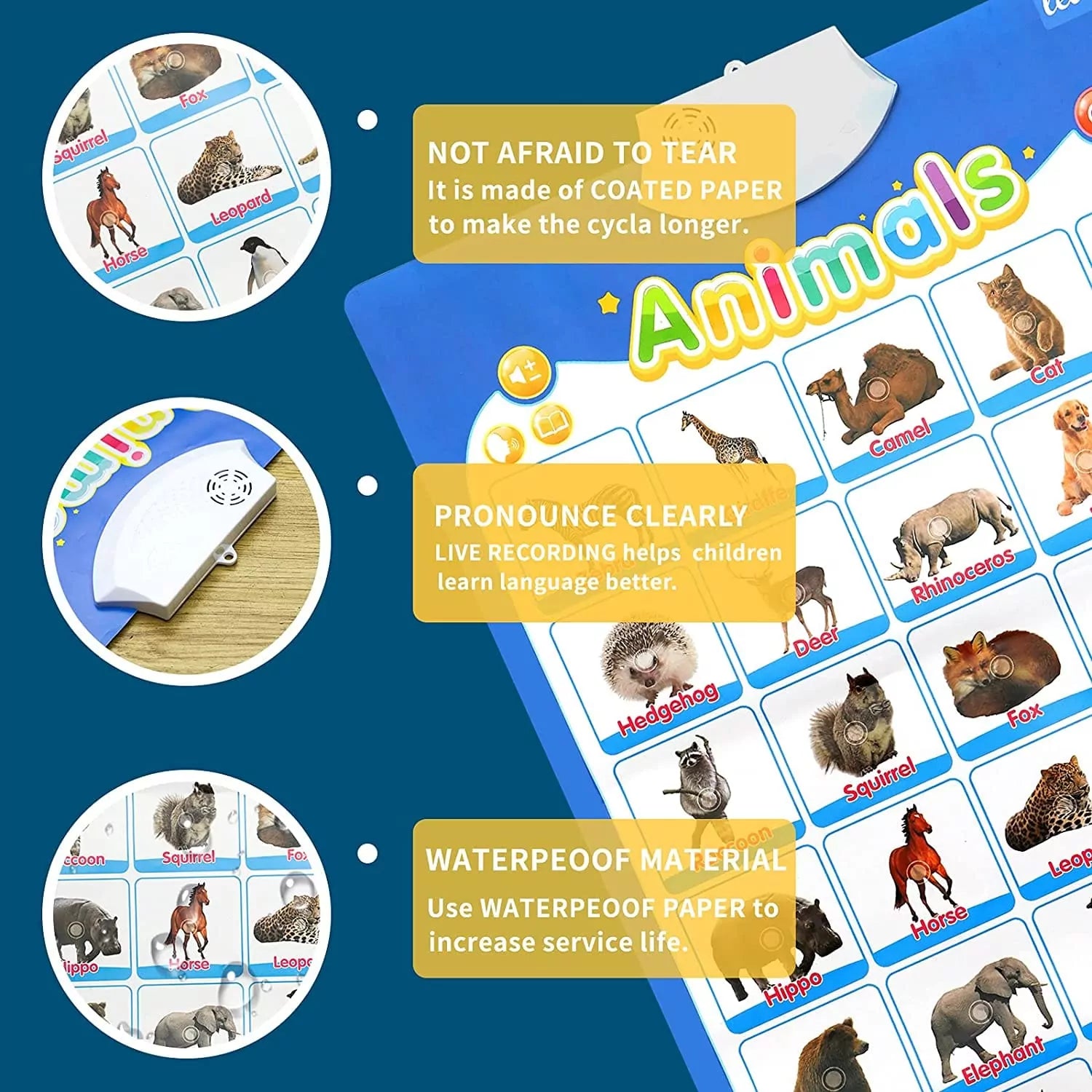Animals Recognition Chart with Sound for Kids - 906 - Default Title - Odeez | Educational Toys Pakistan 