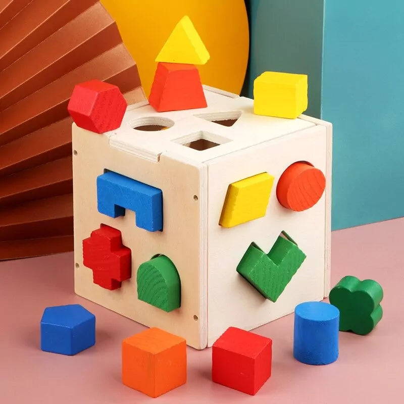 Shape Sorting Intelligence Box - 15 pieces - Default Title - Odeez | Educational Toys Pakistan 