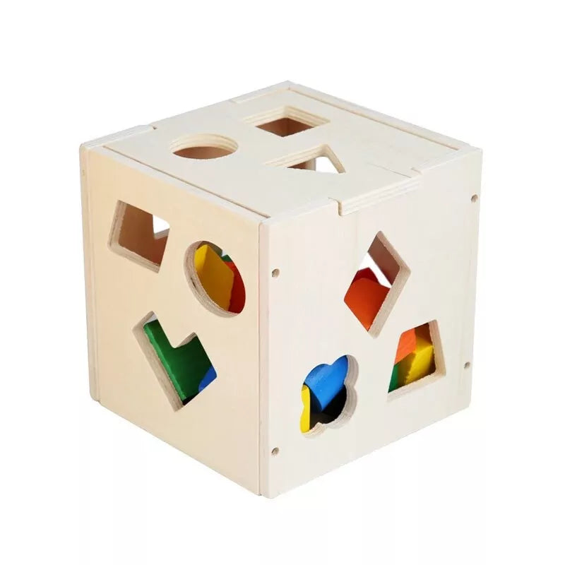 Shape Sorting Intelligence Box - 15 pieces - Default Title - Odeez | Educational Toys Pakistan 