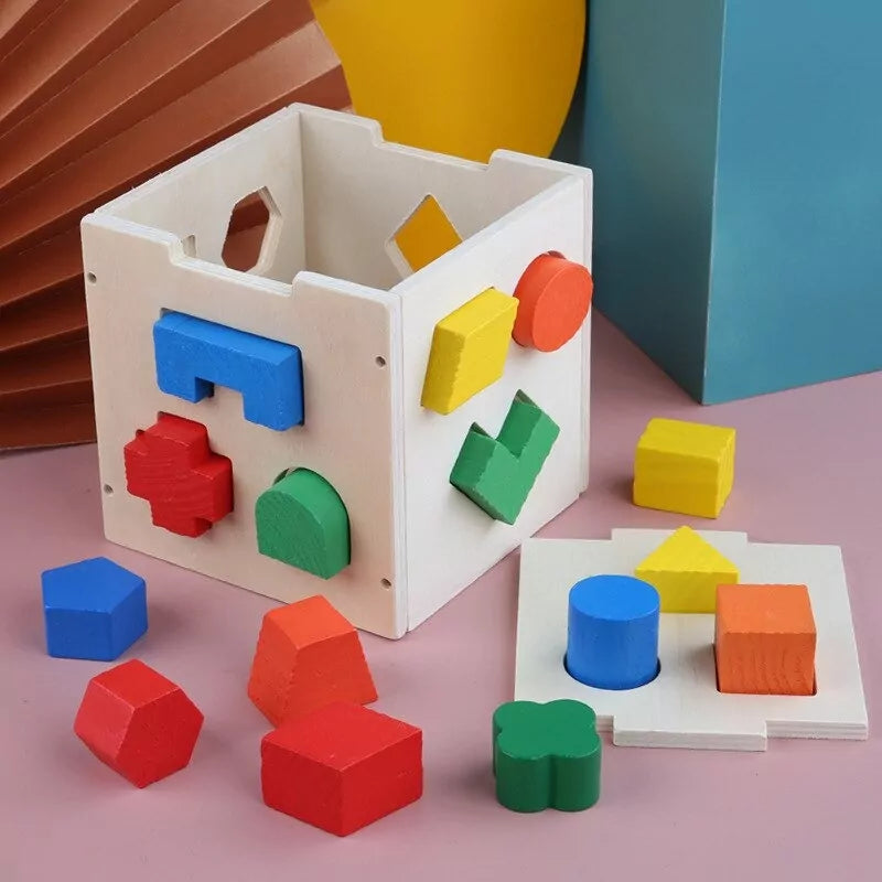 Shape Sorting Intelligence Box - 15 pieces - Default Title - Odeez | Educational Toys Pakistan 