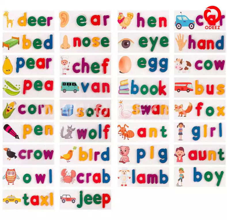 Spelling & Letter Recognition Learning Kit - Default Title - Odeez | Educational Toys Pakistan 