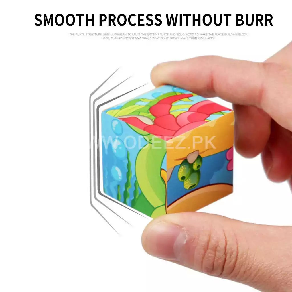 Three Dimensional 6 Sided Block Puzzle - Random Character - Default Title - Odeez | Educational Toys Pakistan 