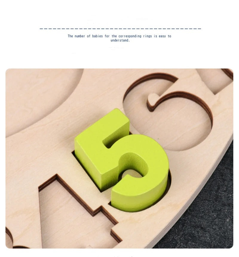 Wooden Dolphin Balance Board - C01 - Default Title - Odeez | Educational Toys Pakistan 