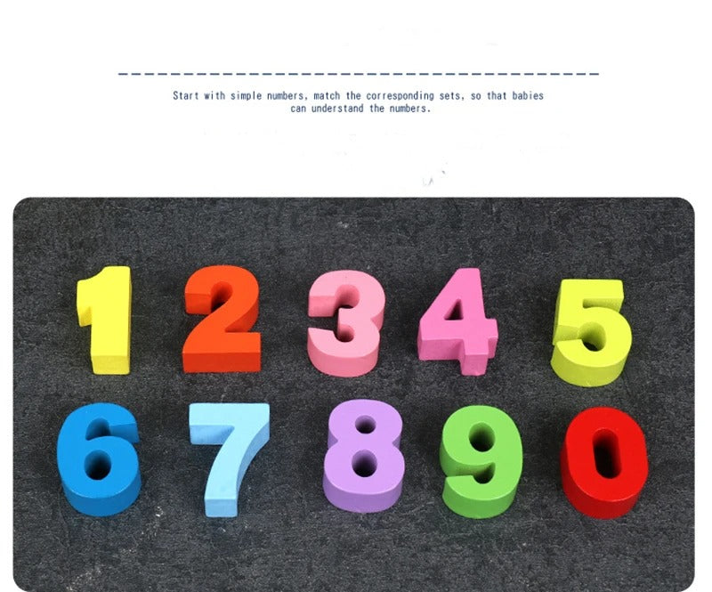 Wooden Dolphin Balance Board - C01 - Default Title - Odeez | Educational Toys Pakistan 