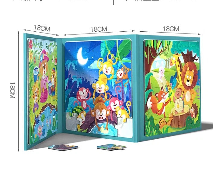 3 in 1 Magnetic Levelled Puzzle - 009