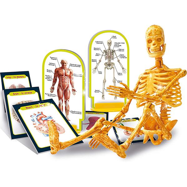 I'm a Genius Human Body - LISCIANI - Default Title - Odeez | Educational Toys Pakistan 