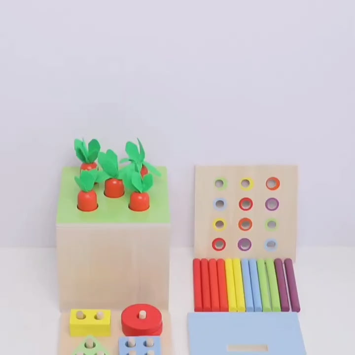 5in1 Multipurpose Wooden Early Learning Sorting Kit - 433