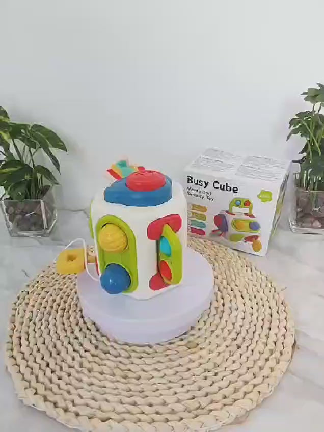 Montessori Sensory Busy Learning Cube - 19A