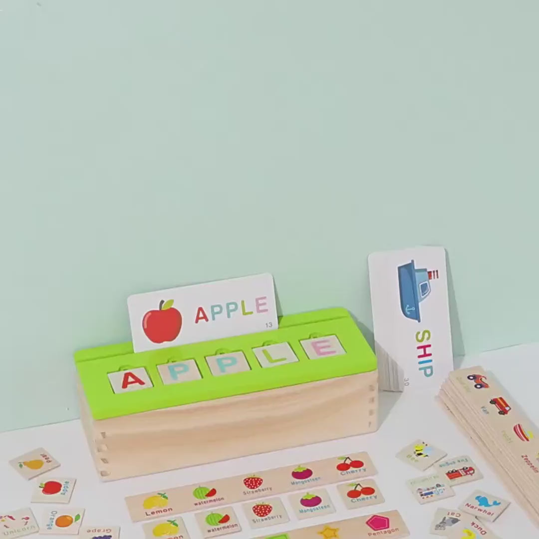 Wooden Knowledge Classification Objects Matching and Flash Cards Box - 048