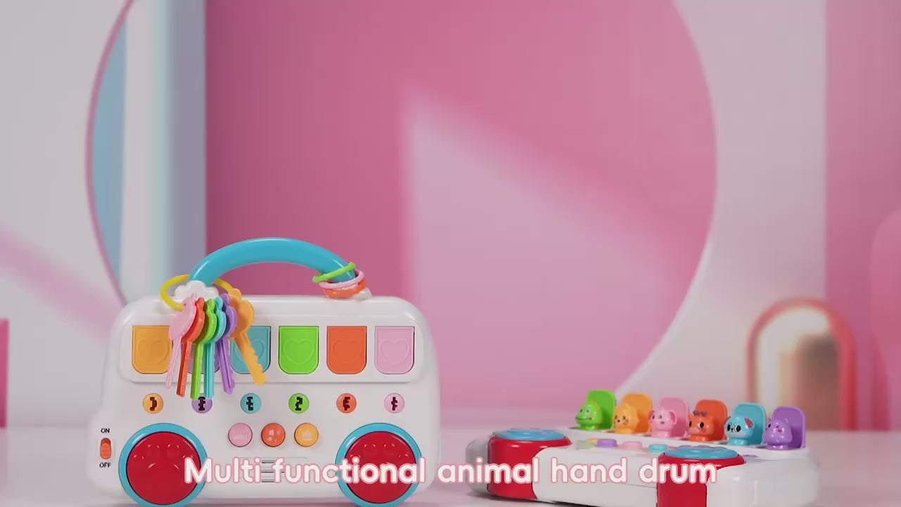 Interactive Pop Up Animal Sound Color Recognition Key Set - 940