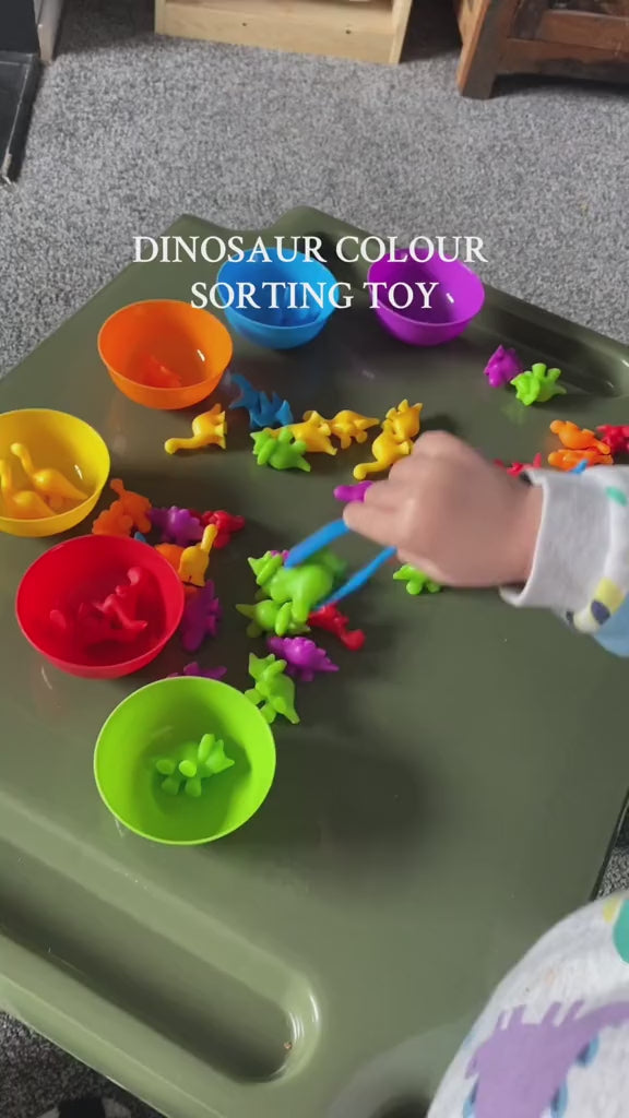 Colorful Sort Counting Bears with Matching Cups - 827