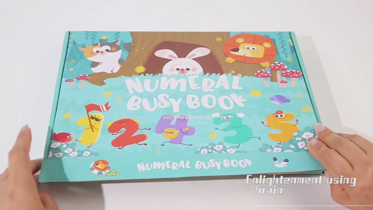 DIY Numeral Busy Book Multiple Activities - 611