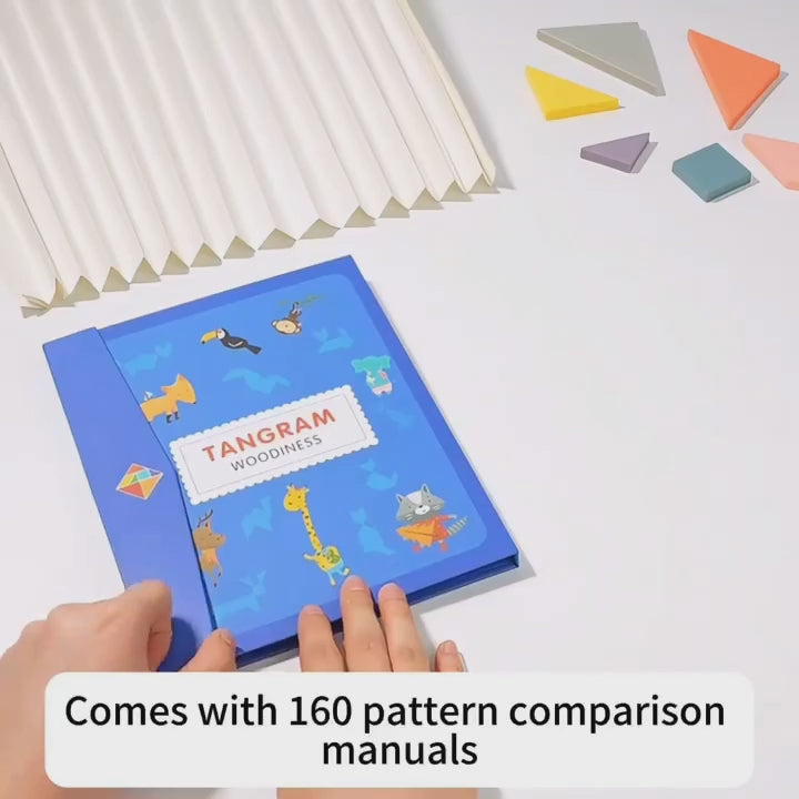 Tangram Magnetic Pattern Puzzle - 949